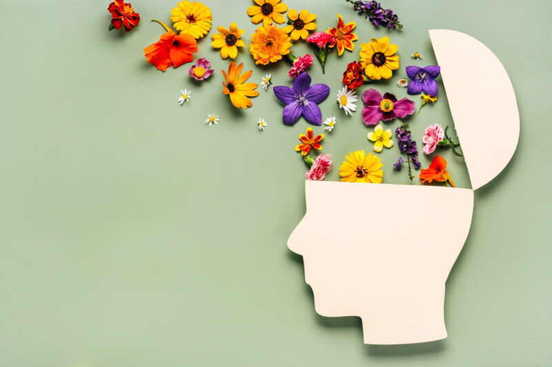 Paper human head symbol and flowers on a blue background